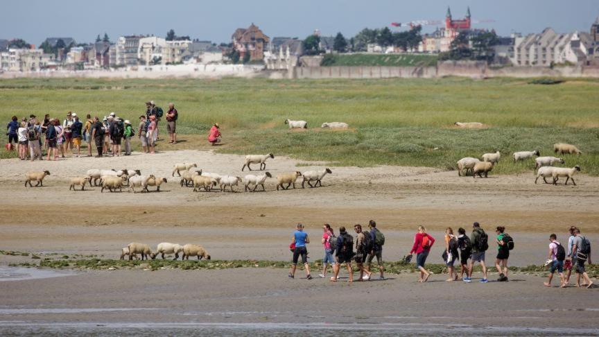 Les Arts - Cocon Romantique En Baie De Somme Boismont  Exteriér fotografie